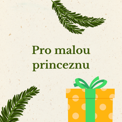 Dárky pro malou princeznu